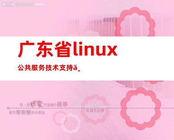 广东省linux公共服务技术支持中心（广东新支点技术服务有限公司）